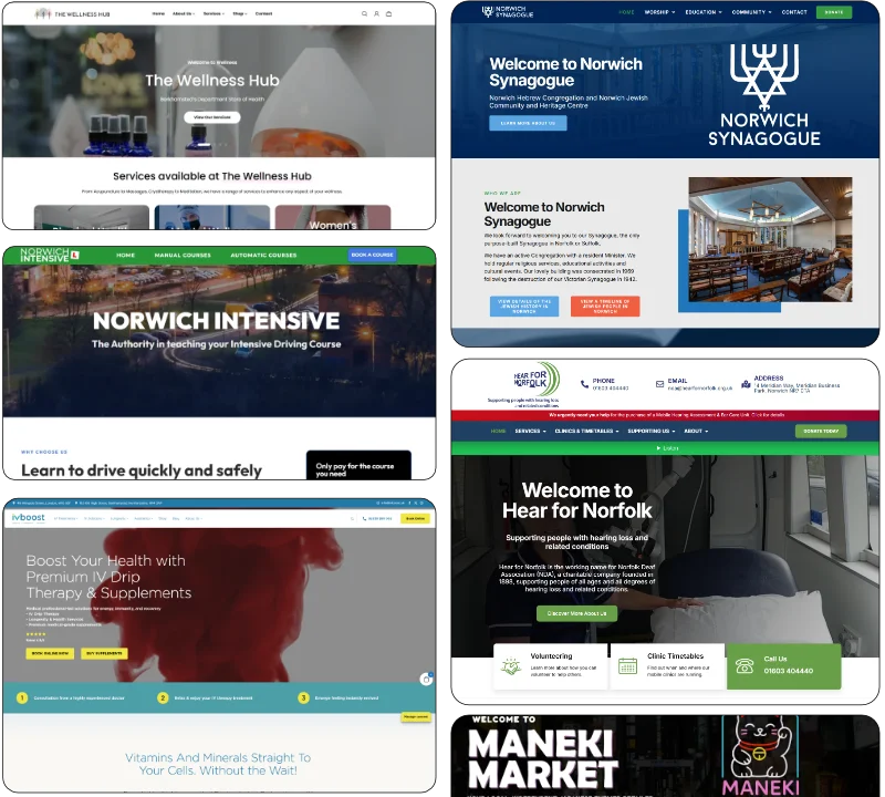 A collage of six website homepages, each representing different organisations, including wellness, synagogue, intensive driving, health supplements, hearing services, and a market.